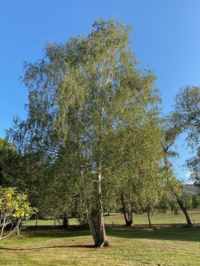 150m2 Dans Tres Grand Parc Arbore