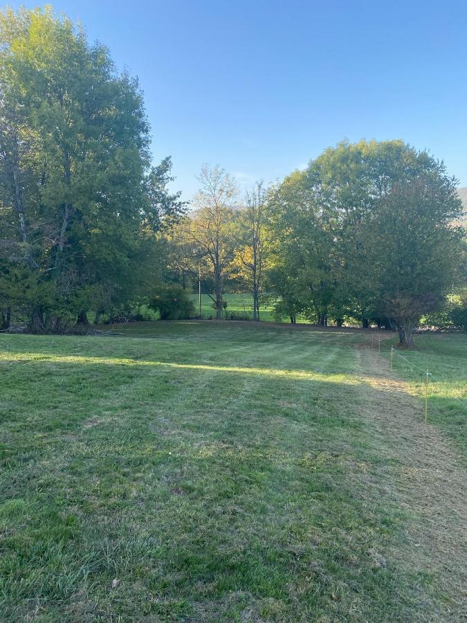150m2 Dans Tres Grand Parc Arbore *